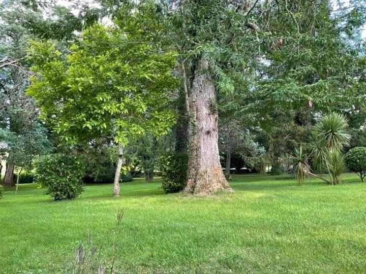مبيت وإفطار Allas-Bocage Les Demeures De La Laigne المظهر الخارجي الصورة