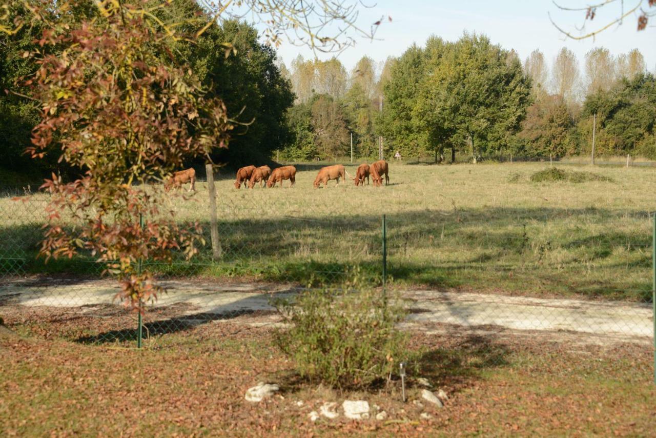 مبيت وإفطار Allas-Bocage Les Demeures De La Laigne المظهر الخارجي الصورة